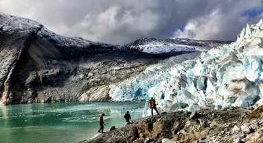 Feature image Doug Stoup - Animal Planet Ice Cold Gold